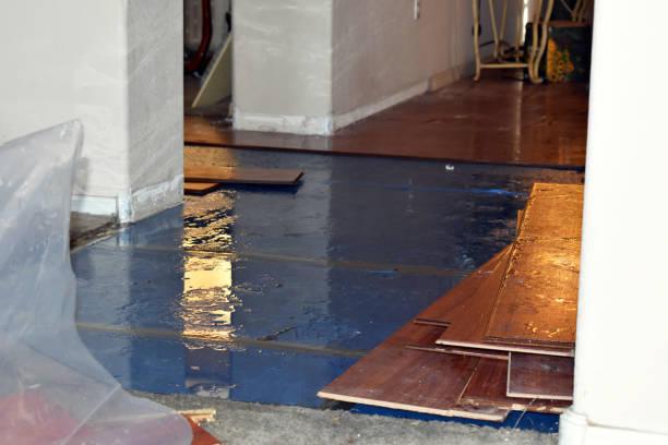 Professional Flood Cleanup technician working in Mashpee, MA